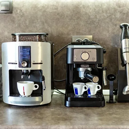 Villa къща за приятели недкови *