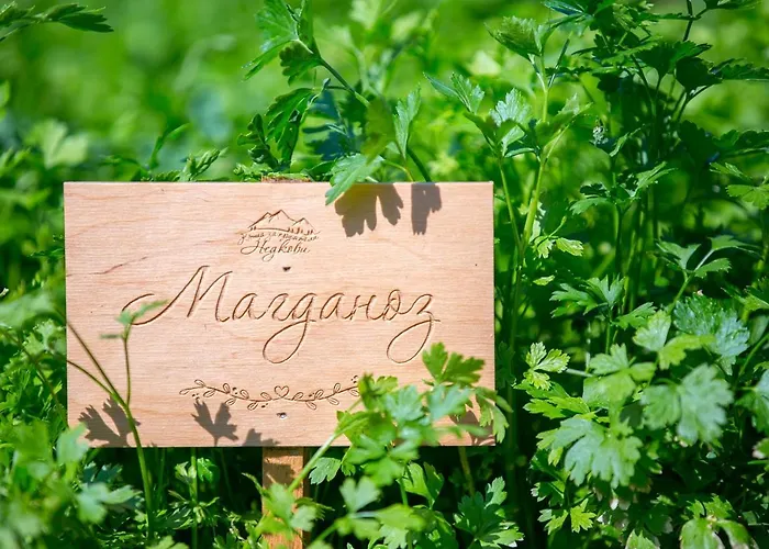 къща за приятели недкови Vasil Levski