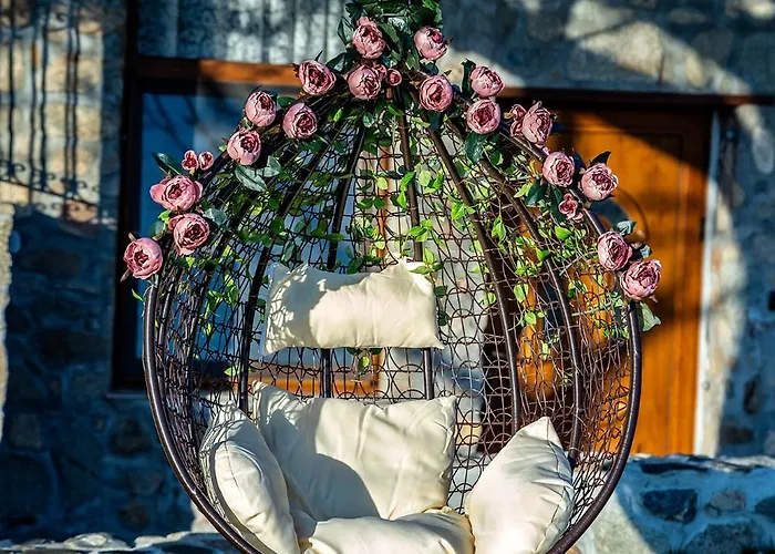 къща за приятели недкови *