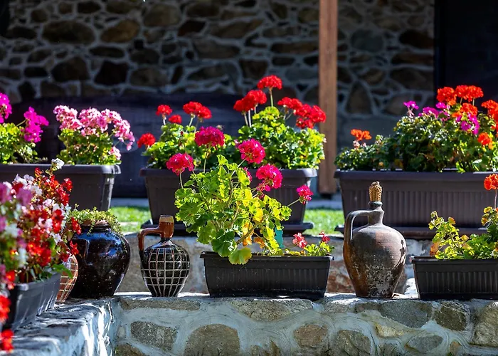 къща за приятели недкови Villa Vasil Levski